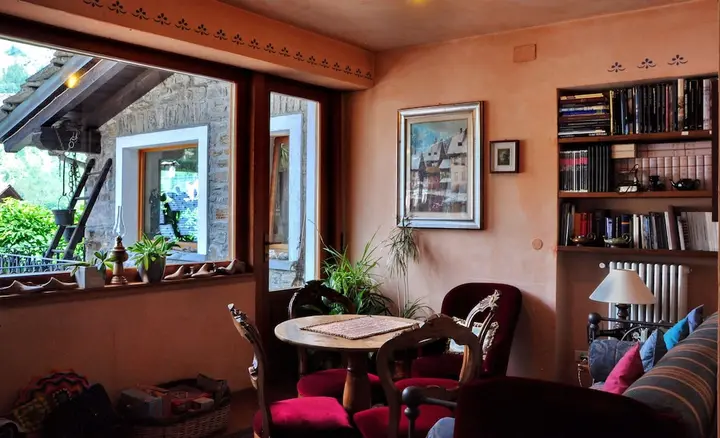 Lounge at the Berthod in Courmayeur, with bookshelves and tall windows onto the village